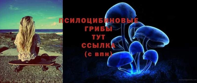 Галлюциногенные грибы Cubensis  Покров 